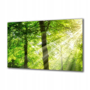 Obraz na szkle Natura 249703814 120x60