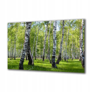Obraz na szkle Natura 32879834 120x60