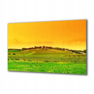 Obraz na szkle Natura 3530138 120x60
