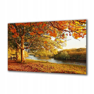 Obraz na szkle Natura 45108931 120x60