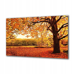 Obraz na szkle Natura 45108959 120x60