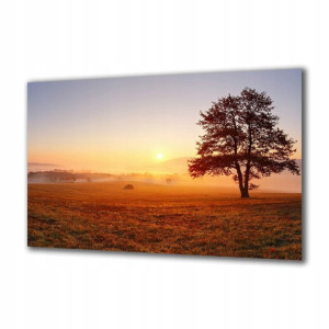 Obraz na szkle Natura 47055686 120x60