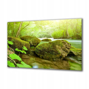 Obraz na szkle Natura 50530261 120x60