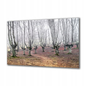 Obraz na szkle Natura 58632335 120x60
