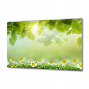 Obraz na szkle Natura 63218930 120x60