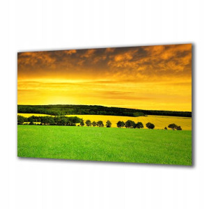 Obraz na szkle Natura 64183475 120x60