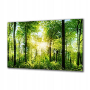Obraz na szkle Natura 82972458 120x60