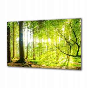 Obraz na szkle Natura 93868389 120x60
