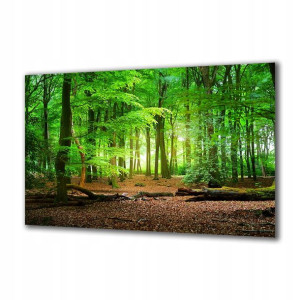 Obraz na szkle Natura 104709683 140x70