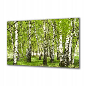 Obraz na szkle Natura 110550393 140x70