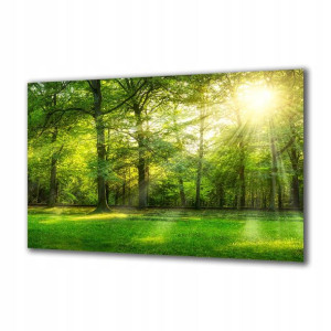 Obraz na szkle Natura 110741782 140x70
