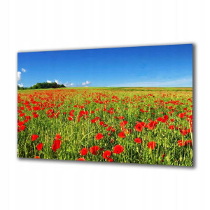 Obraz na szkle Natura 113943000 140x70