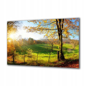 Obraz na szkle Natura 119058776 140x70
