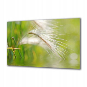 Obraz na szkle Natura 15566438 140x70