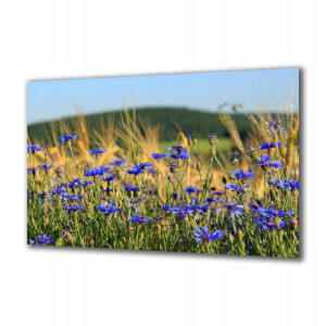 Obraz na szkle Natura 163159925 140x70