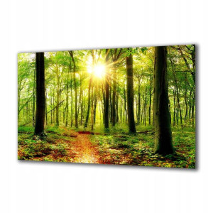 Obraz na szkle Natura 179781791 140x70
