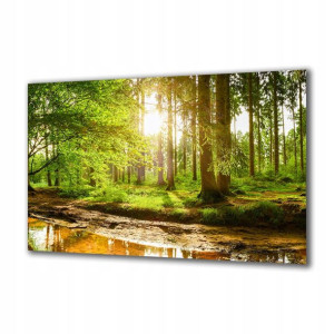 Obraz na szkle Natura 193416206 140x70