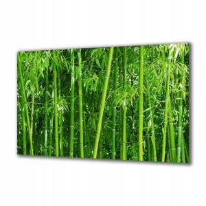 Obraz na szkle Natura 208729755 140x70
