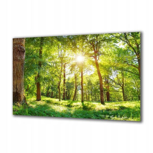 Obraz na szkle Natura 211968677 140x70