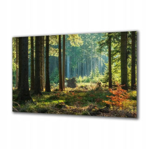 Obraz na szkle Natura 222632647 140x70