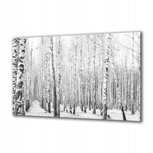 Obraz na szkle Natura 223983486 140x70
