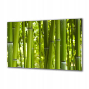 Obraz na szkle Natura 24255297 140x70