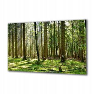 Obraz na szkle Natura 295084721 140x70