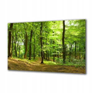 Obraz na szkle Natura 35316050 140x70