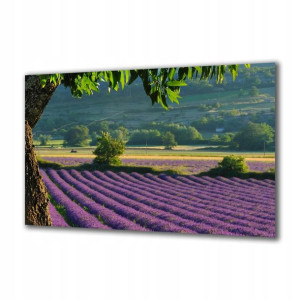 Obraz na szkle Natura 37751274 140x70