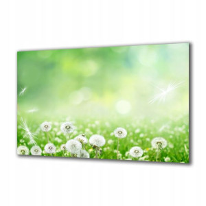 Obraz na szkle Natura 54954878 140x70