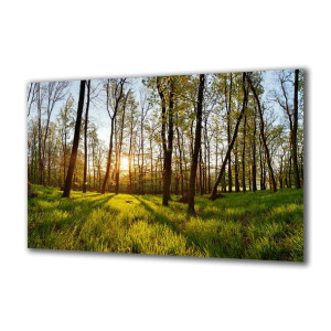 Obraz na szkle Natura 64257441 140x70