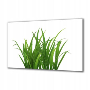 Obraz na szkle Rośliny 48394664 140x70