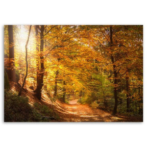 OBRAZ LAS JESIENNY Krajobraz natura 120x80