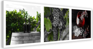 OBRAZ DO KUCHNI Wino i Winogrona, Liście 120x40
