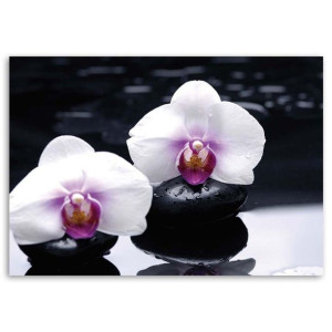 OBRAZ NA PŁÓTNIE Orchidea Zen Kamienie 100x70