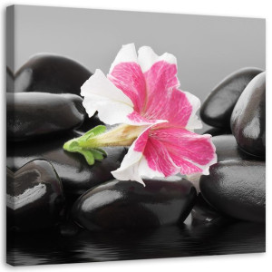 OBRAZ DO SALONU SPA Kwiat Kamienie Zen 40x40