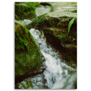 OBRAZ DO SALONU Rzeka Kamienie Natura 80x120