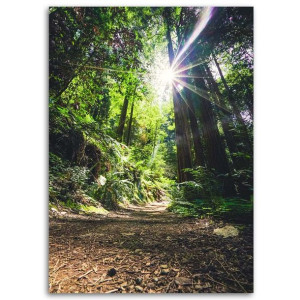OBRAZ DO SALONU Dżungla Las Natura Zielony 60x90