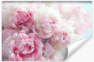 Fototapeta do Sypialni Kwitnące PEONIE Kwiaty Natura Rośliny 3D 450x300cm