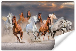 Fototapeta KONIE w Galopie Zwierzęta Pustynia Chmury Efekt 3D 315x210cm