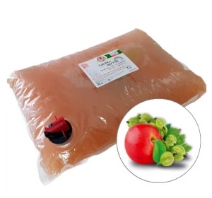 Sok jabłko-agrest 5l NFC tłoczony naturalny