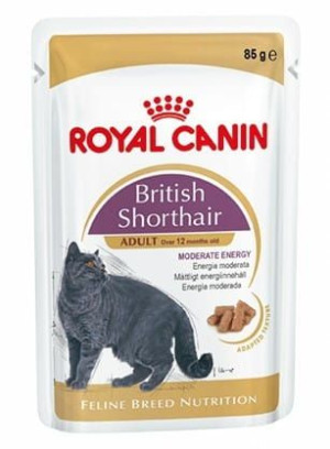 Royal Canin British Shorthair karma mokra w sosie dla kotów dorosłych rasy