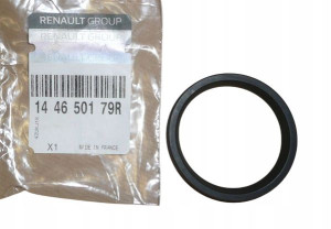 Uszczelka Przewodu Powiet Master 2.3dci 144650179r
