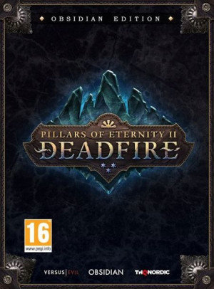 Pillars of Eternity II 2 Deadfire Obsidian PL KLUC