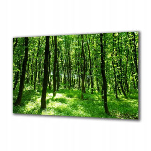 Obraz na szkle Natura 91907905