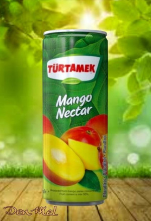 Nektar z mango Turtamek 250ml