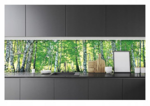Fototapeta Do Kuchni Zmywalna Las Drzewa 250x60