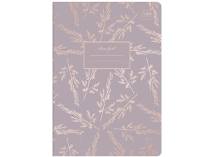 INTERDRUK Zeszyt A5 60 KARTEK Gruba LINIA Metallic