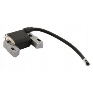 Cewka Iskrownik Briggs 650exi 500e 84005272