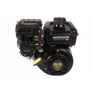 Silinik Spalinowy Briggs & Stratton Vanguard